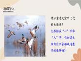 統(tǒng)編2024版七年級(jí)上冊(cè)語文 19《大雁歸來》課件