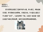 统编2024版七年级上册语文 20《狼》课件