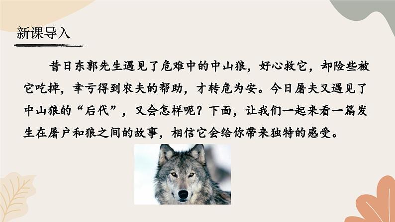 统编2024版七年级上册语文 20《狼》课件第2页