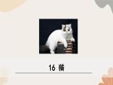 統(tǒng)編2024版七年級(jí)上冊(cè)語文 17《貓》課件