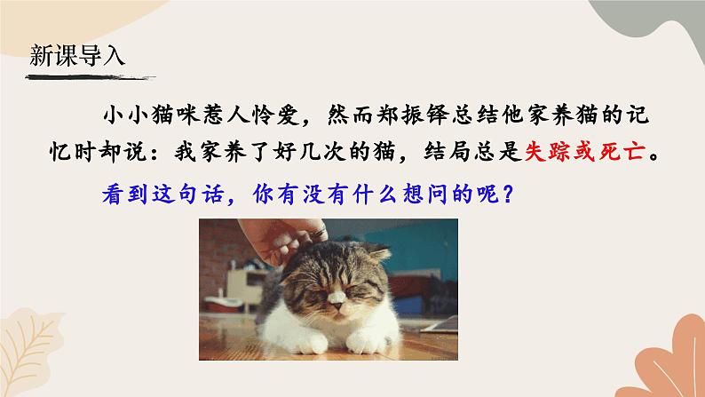 统编2024版七年级上册语文 17《猫》课件第2页