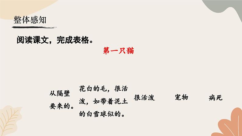 统编2024版七年级上册语文 17《猫》课件第7页