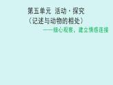 第五單元作文 記述與動(dòng)物的相處 課件七年級(jí)語(yǔ)文上冊(cè)人教版2024