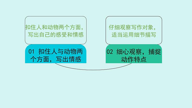 第五单元作文 记述与动物的相处 课件七年级语文上册人教版2024第2页