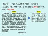 第五單元作文 記述與動(dòng)物的相處 課件七年級(jí)語(yǔ)文上冊(cè)人教版2024