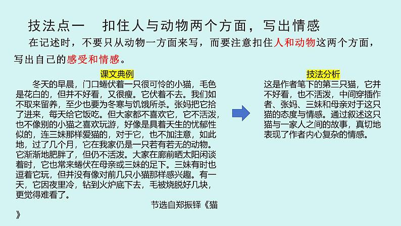第五单元作文 记述与动物的相处 课件七年级语文上册人教版2024第3页