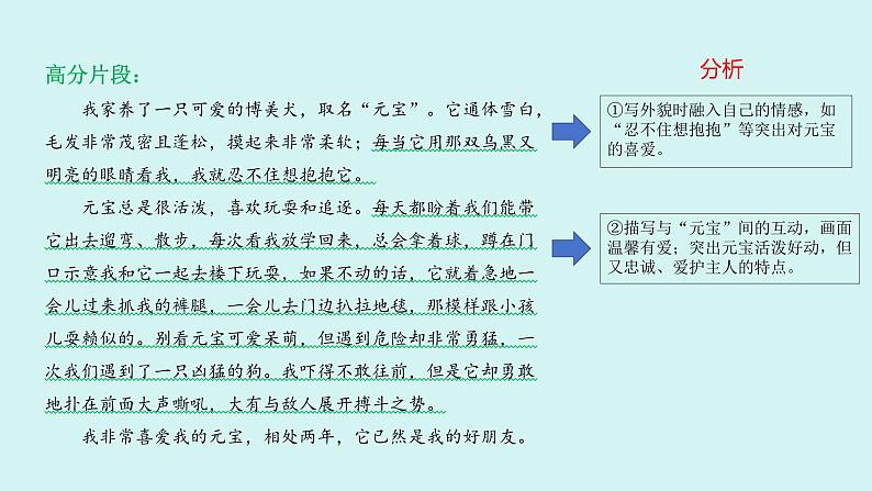 第五单元作文 记述与动物的相处 课件七年级语文上册人教版2024第5页