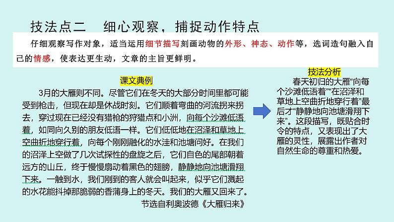 第五单元作文 记述与动物的相处 课件七年级语文上册人教版2024第6页