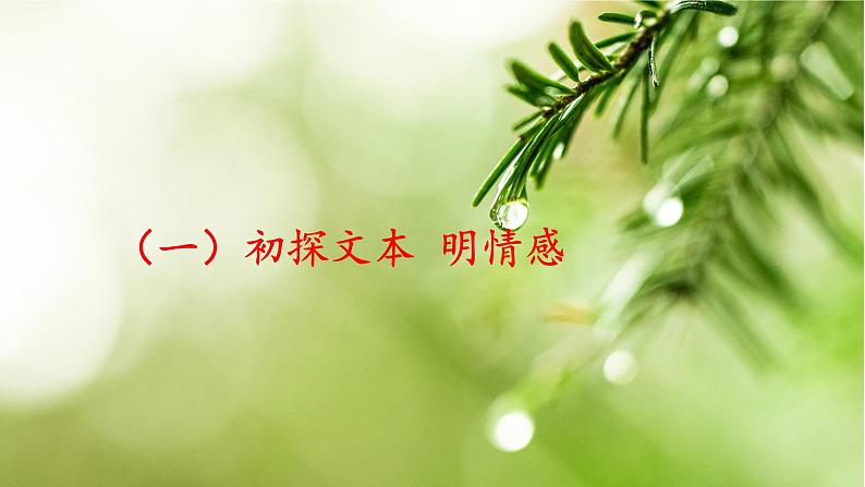 统编版语文八年级上册 第17课《昆明的雨》课件第7页