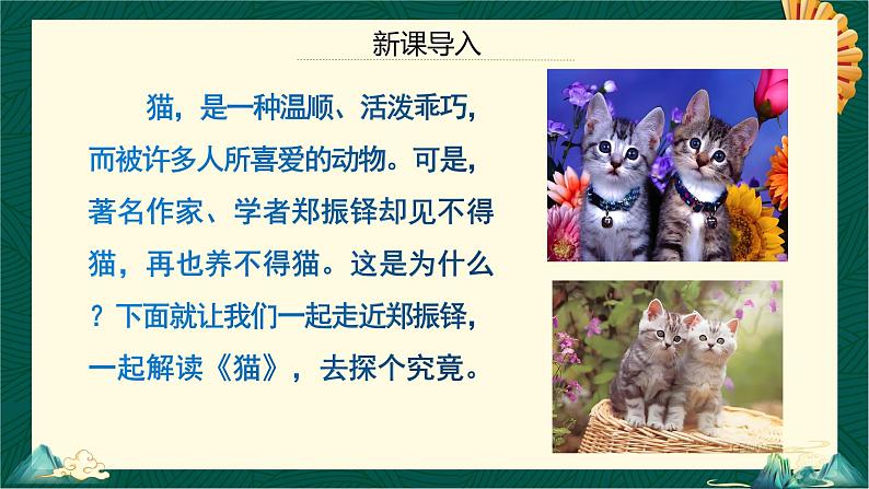 统编版语文七年级上册第17课《猫》课件第5页