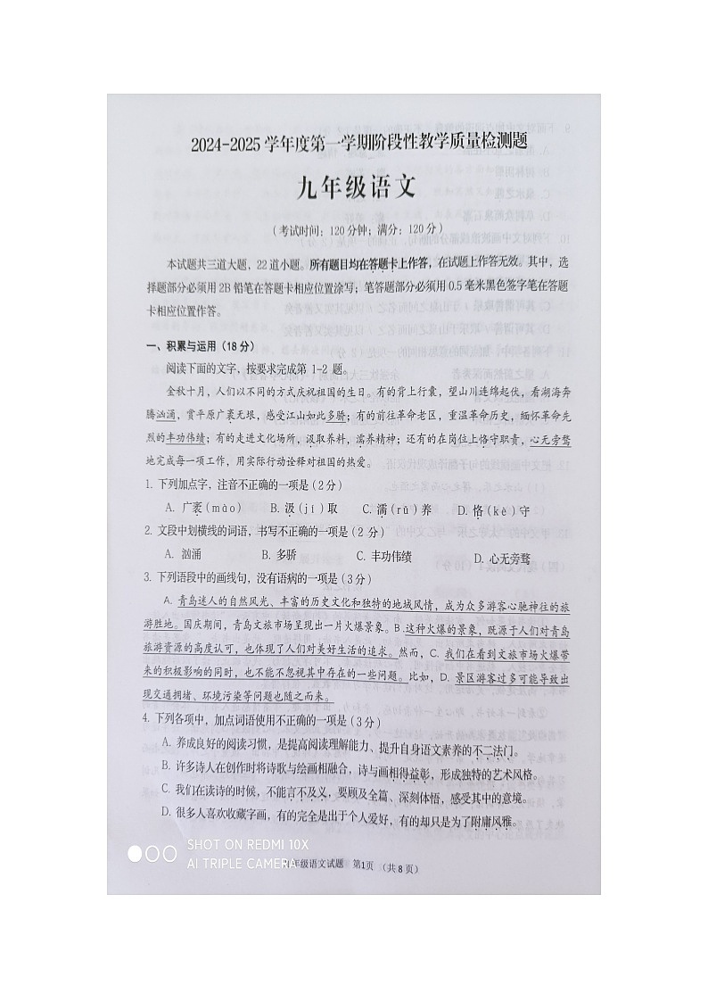 山东省青岛市胶州市2024-2025学年九年级上学期期中考试语文试题01