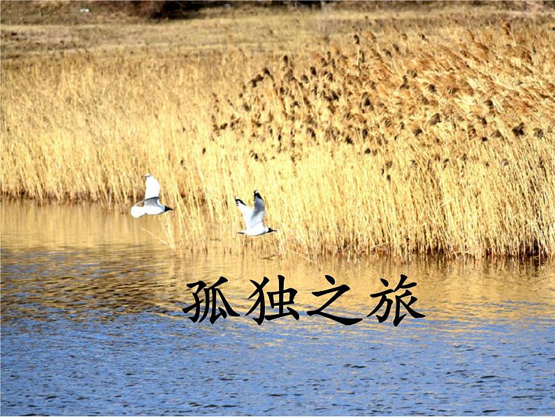 孤独之旅.pptx第1页