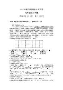 江苏省泰州市姜堰区2024-2025学年七年级上学期11月期中语文试题