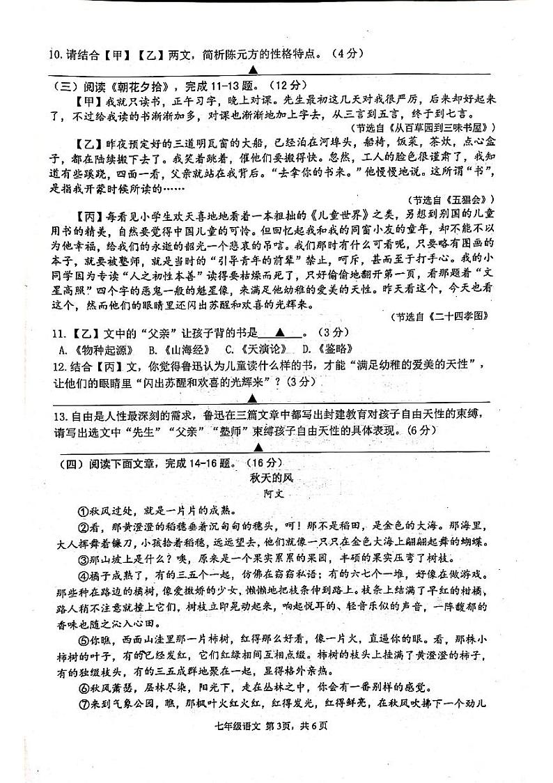 江苏省淮安市金湖县2024-2025学年七年级上学期11月期中语文试题第3页
