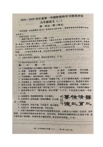 青海省格尔木市第三中学2024-2025学年九年级上学期阶段性学习效果评估二（期中）语文试题