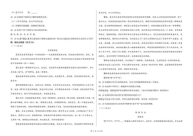 甘肃省武威市凉州区长城中学教研组2024-2025学年七年级上学期11月期中考试语文试题第3页