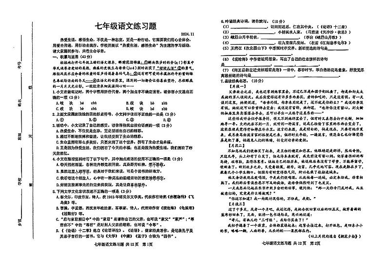 山东省泰安市岱岳区2024—2025学年七年级上学期期中语文试卷第1页