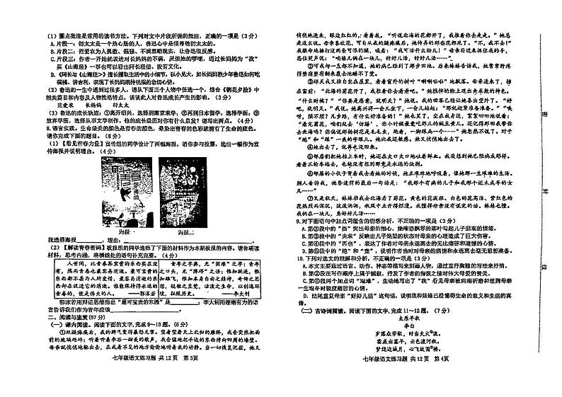 山东省泰安市岱岳区2024—2025学年七年级上学期期中语文试卷第2页