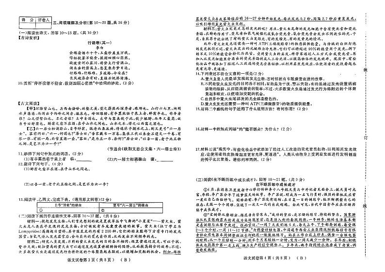 黑龙江省伊春市2024-2025学年九年级上学期11月期中语文试题02