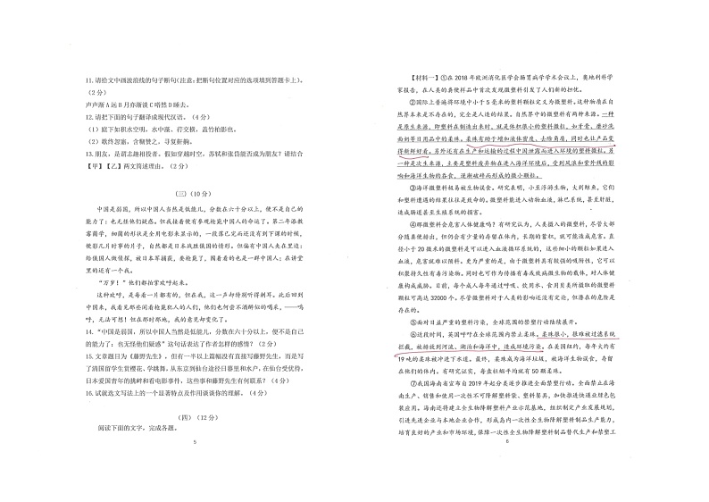 山东省东营市广饶县乐安中学2024-2025学年八年级11月期中-语文第3页