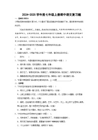 期中复习题-2024-2025学年统编版语文七年级上册