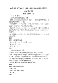 山东省泰安市泰山区2022-2023学年八年级下学期期中考试语文试卷(解析版)