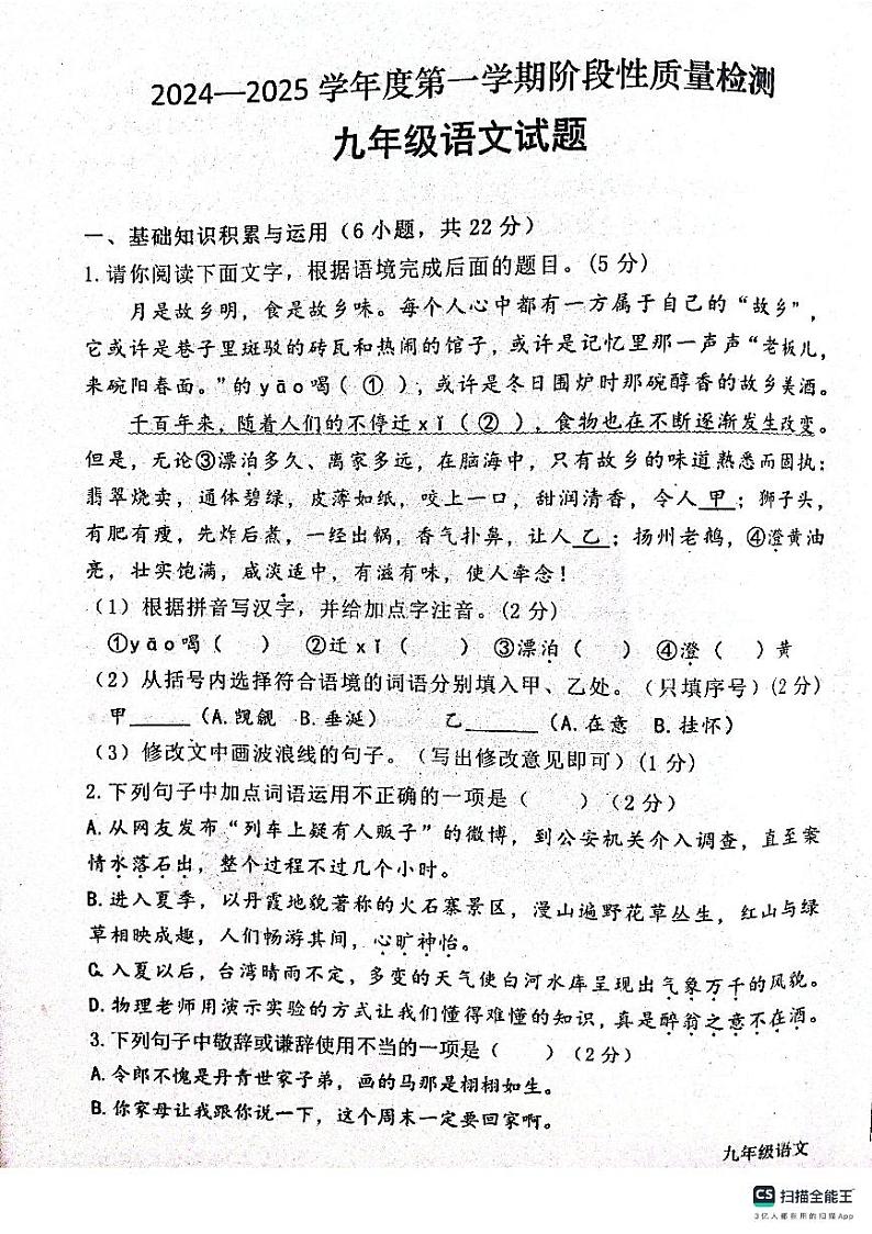 陕西省宝鸡市凤翔区2024-2025学年九年级上学期期中考试语文试题01