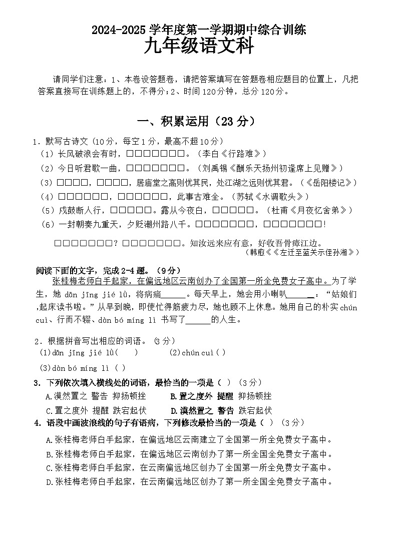 广东省揭阳市普宁市2024-2025学年九年级上学期期中语文试题第1页