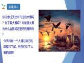 课件：部编版初中语文八年级下册第二单元第7课 大雁归来