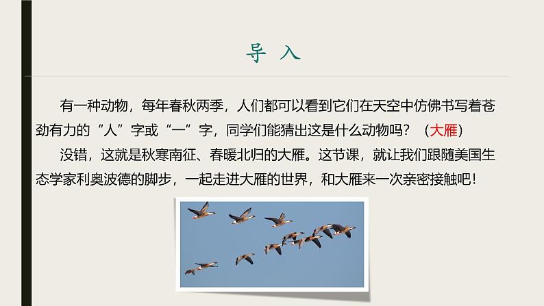 课件：部编版初中语文八年级下册第二单元第7课 大雁归来第3页