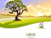 课件：部编版初中语文八年级下册第二单元第7课 大雁归来