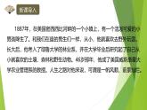 课件：部编版初中语文八年级下册第二单元第7课 大雁归来