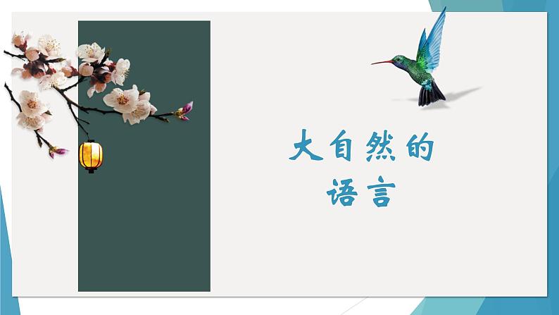 课件：部编版初中语文八年级下册第二单元第5课 大自然的语言第1页