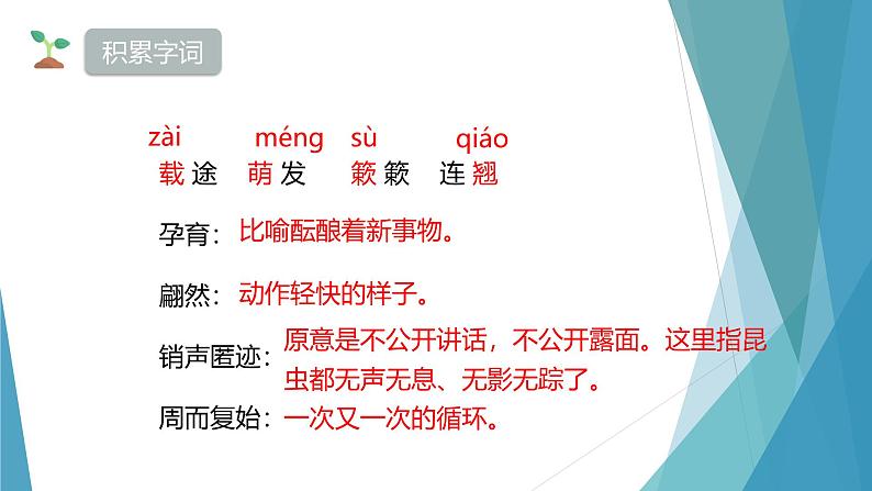 课件：部编版初中语文八年级下册第二单元第5课 大自然的语言第6页