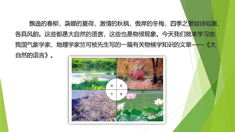课件：部编版初中语文八年级下册第二单元第5课 大自然的语言 第1课时04