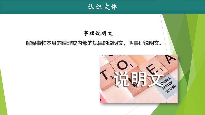 课件：部编版初中语文八年级下册第二单元第5课 大自然的语言 第1课时08