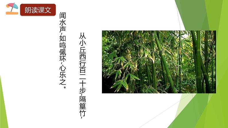 课件：部编版初中语文八年级下册第10课 小石潭记04