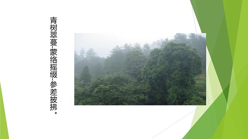 课件：部编版初中语文八年级下册第10课 小石潭记07