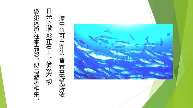 课件：部编版初中语文八年级下册第10课 小石潭记08