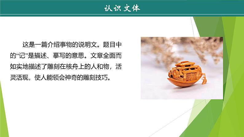 课件：部编版初中语文八年级下册第11课 核舟记07