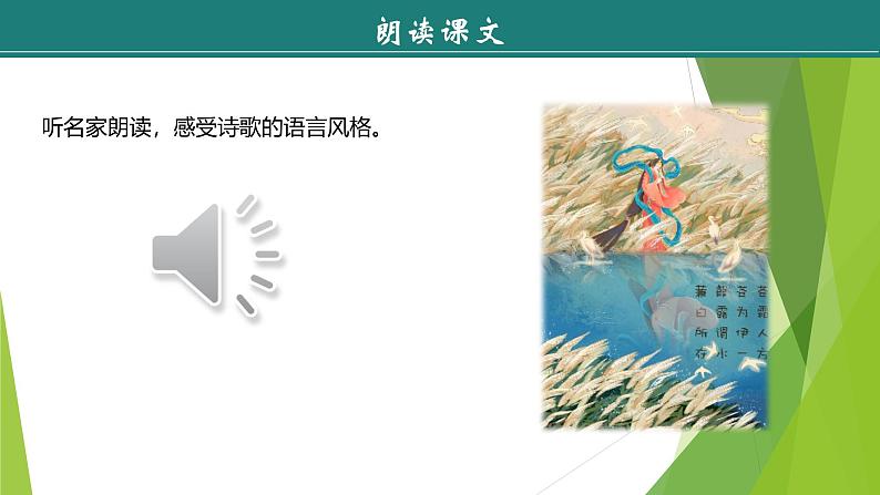 课件：部编版初中语文八年级下册第12课 《诗经》二首——《蒹葭》05