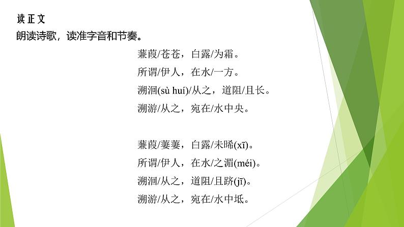 课件：部编版初中语文八年级下册第12课 《诗经》二首——《蒹葭》07