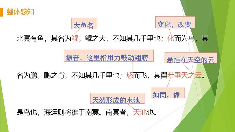 课件：部编版初中语文八年级下册第21课 《庄子》二则——北冥有鱼第7页