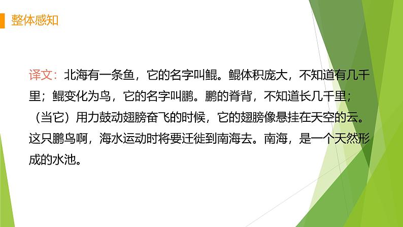 课件：部编版初中语文八年级下册第21课 《庄子》二则——北冥有鱼第8页