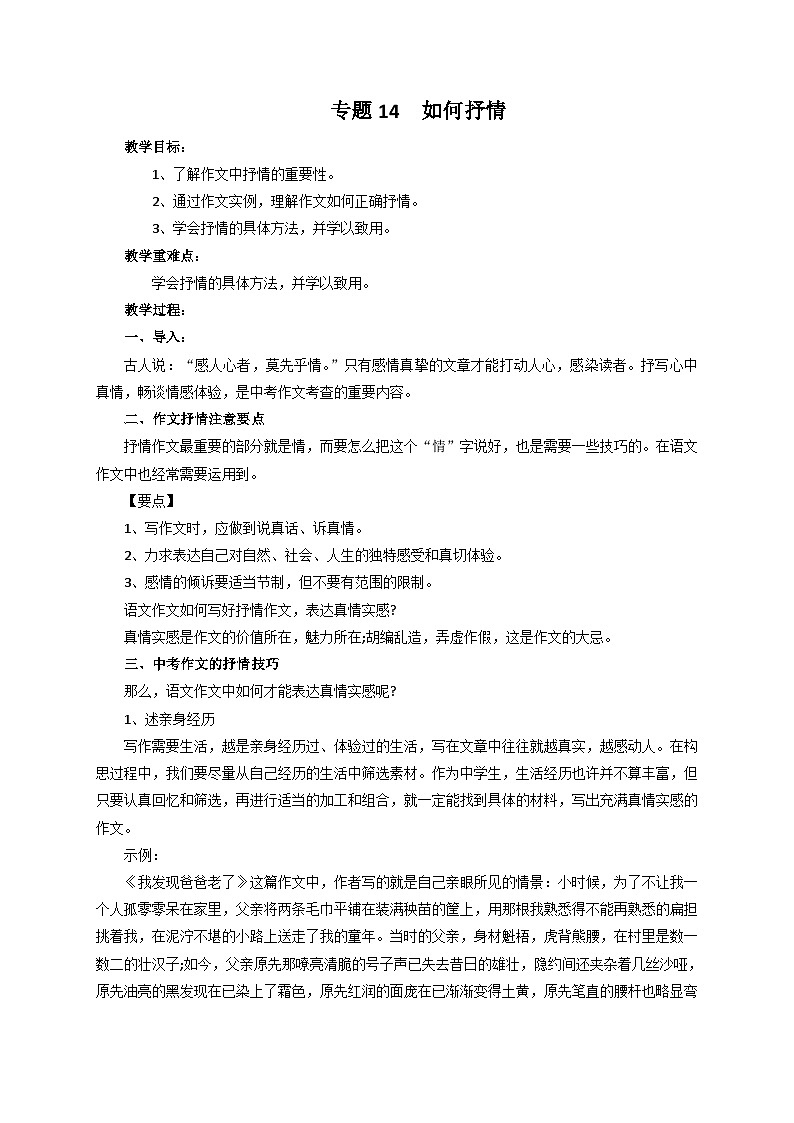 专题14 如何抒情（教案）-2024-2025学年中考语文作文指导第1页