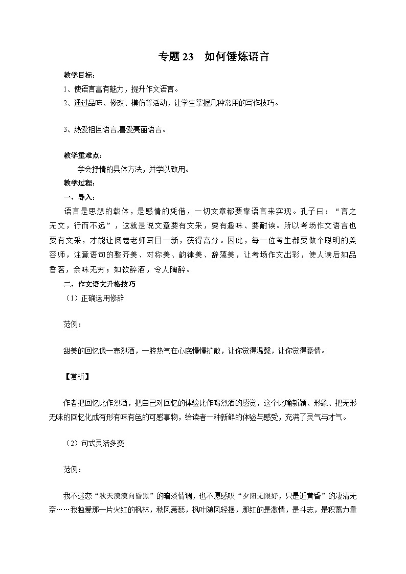 专题23 如何锤炼语言（教案）-2024-2025学年中考语文作文指导第1页