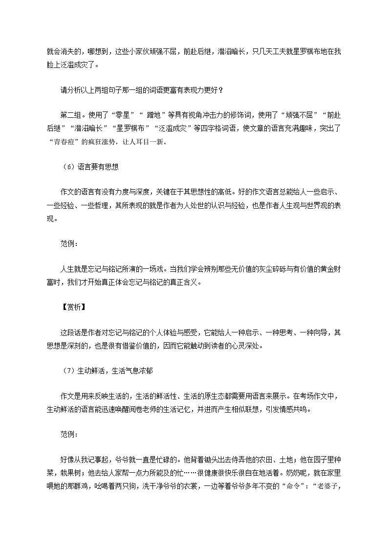 专题23 如何锤炼语言（教案）-2024-2025学年中考语文作文指导第3页