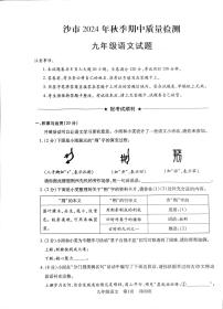 湖北省荆州市沙市区2024-2025学年九年级上学期11月期中语文试题