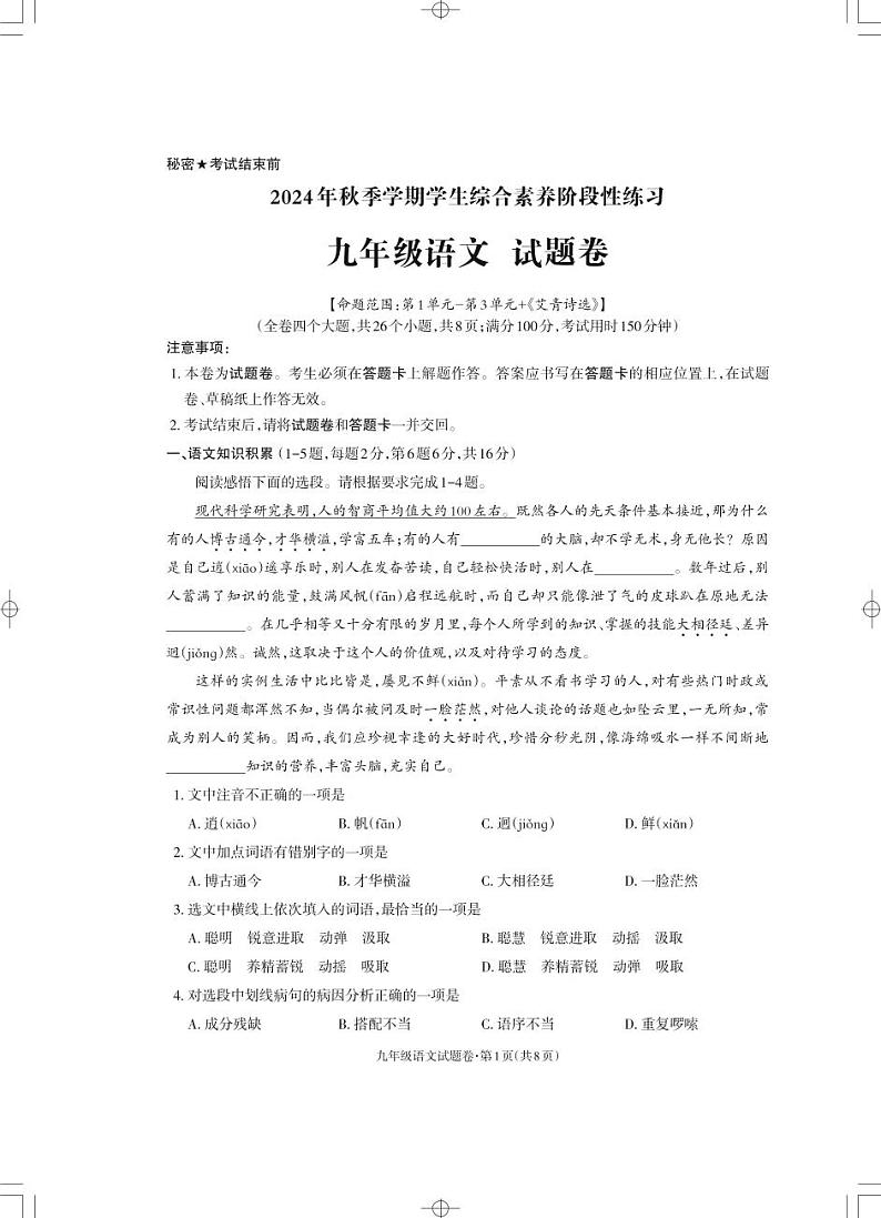云南省昭通市永善县2024-2025学年九年级上学期11月期中考试语文试题01
