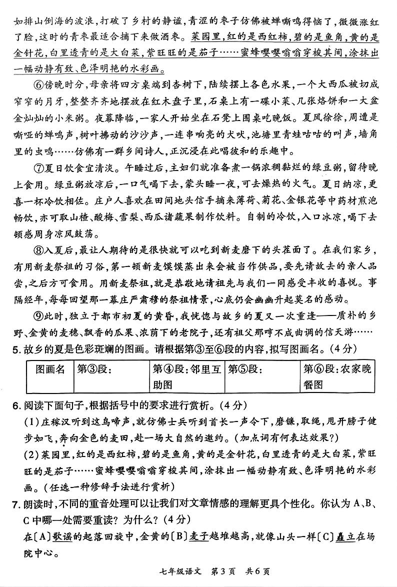 2024-2025洛阳市老城区七上11月期中考试语文试题第3页